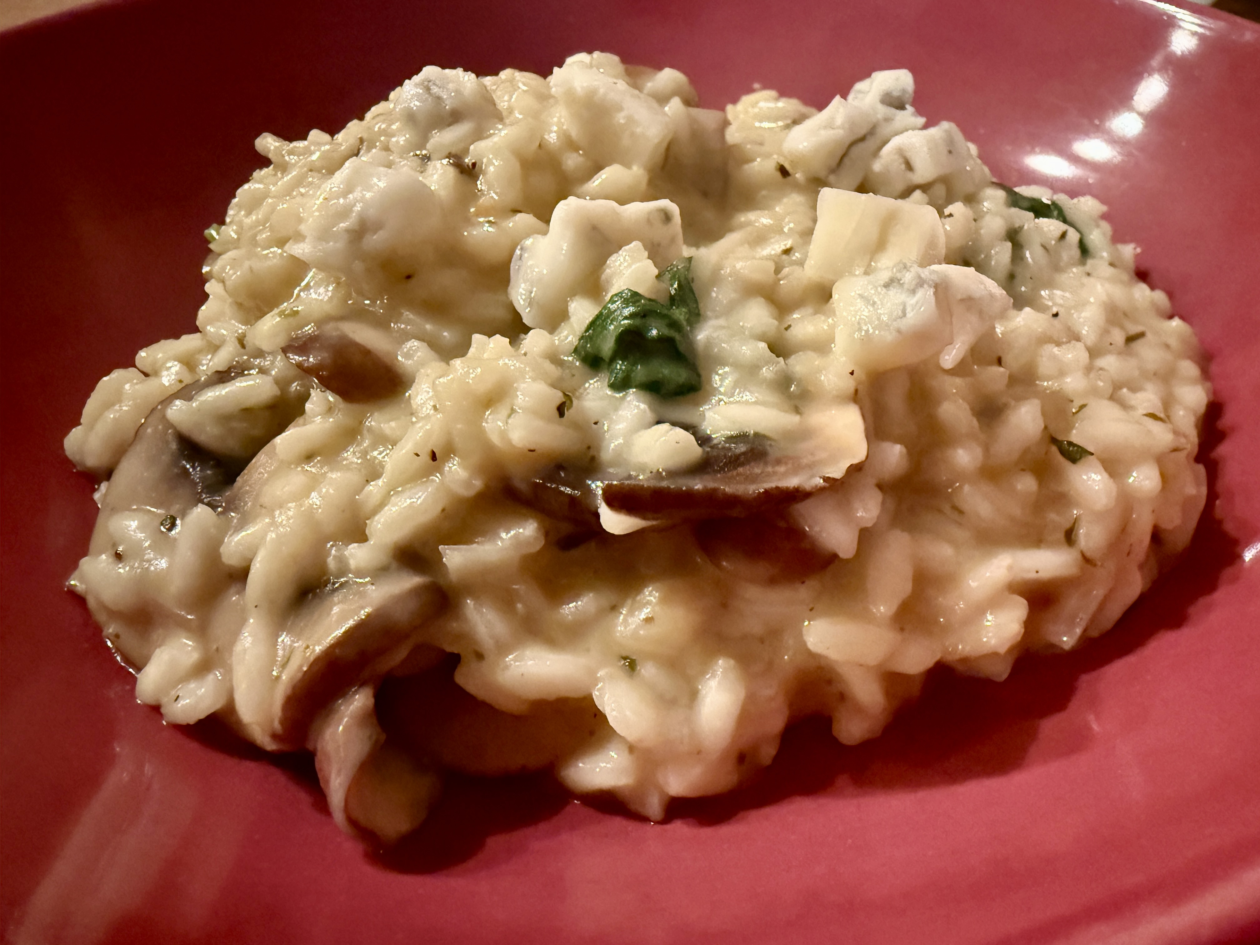 <i>Pilz-Risotto</i><i>mit Gorgonzola</i>